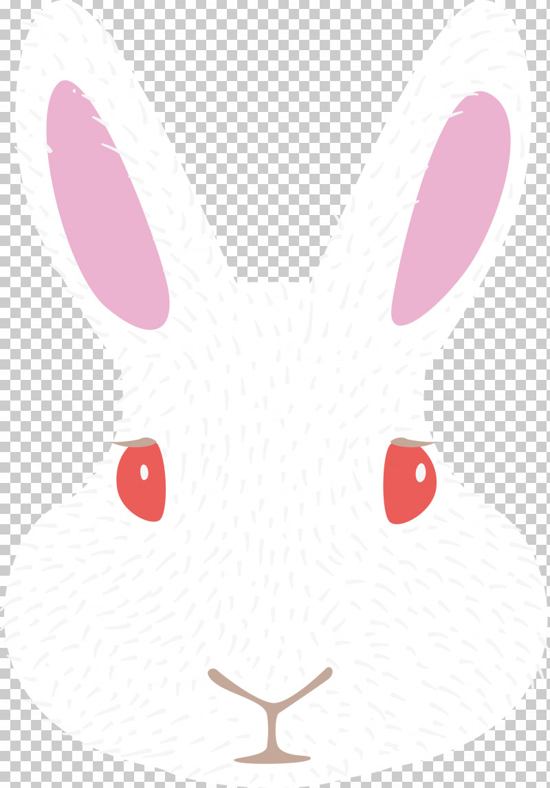Hares Rabbit Cartoon Line Science PNG, Clipart, Biology, Cartoon, Cartoon Rabbit, Cute Rabbit, Line Free PNG Download