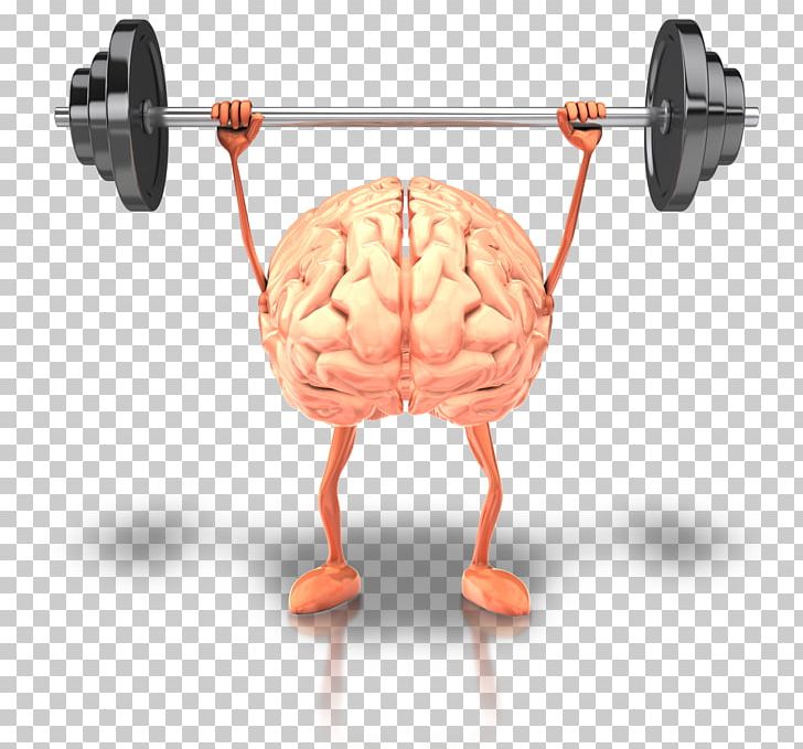 Brain Health Fish Oil Physical Exercise Human Body PNG, Clipart, Alzheimers Disease, Body Mind, Brain, Cerebral Atrophy, Cognition Free PNG Download