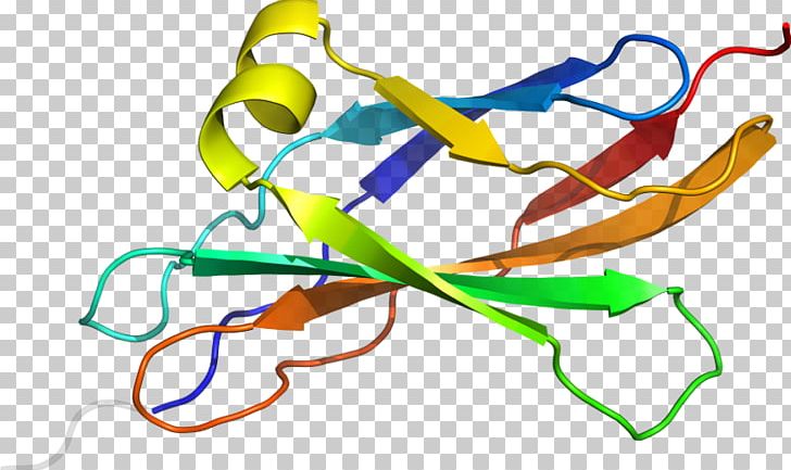 Line Point PNG, Clipart, Area, Art, Fibronectin, Line, Organism Free PNG Download