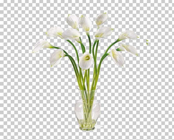 Arum-lily Artificial Flower Lilium Callalily PNG, Clipart, Artificial Flower, Arumlily, Arum Lily, Bulb, Calla Free PNG Download