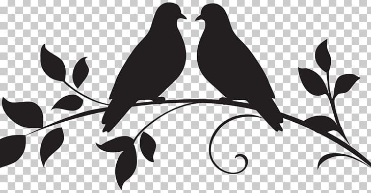 Bird Columbidae PNG, Clipart, Animals, Autocad Dxf, Beak, Bird, Black And White Free PNG Download