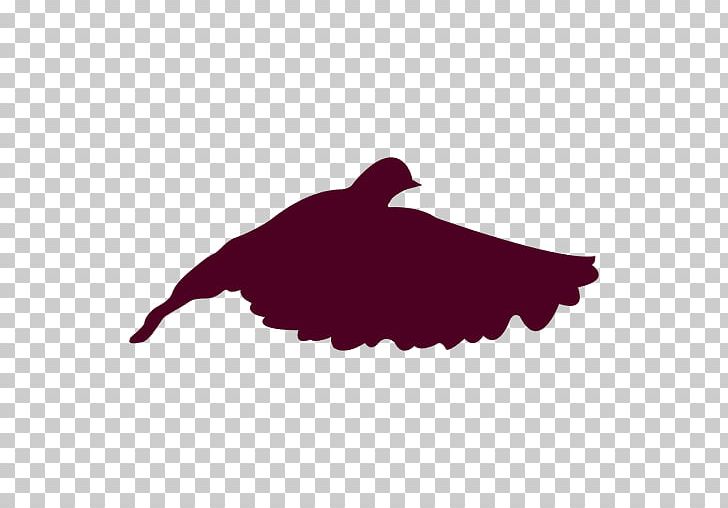 Bird Flight Bird Flight Silhouette Dove PNG, Clipart, Animals, Beak, Bird, Bird Flight, Color Free PNG Download