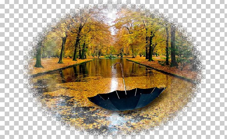 Nature Autumn Rain Yandex Water Resources PNG, Clipart, Autumn, Autumn Rain, Bank, Canal, Heart Free PNG Download