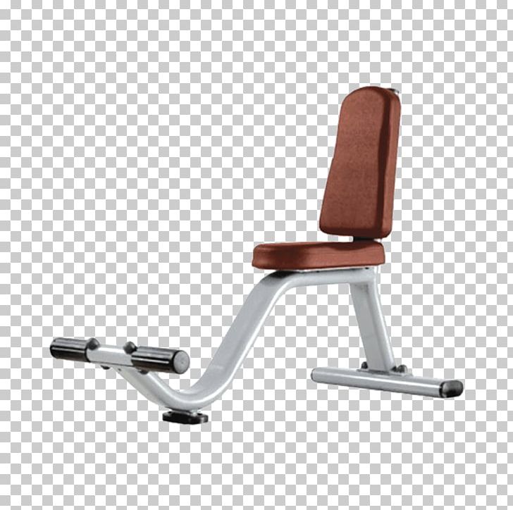 Bench Exercise Machine Fitness Centre Exercise Equipment PNG, Clipart, Angle, Barbell, Bench, Bench Press, Bronze Free PNG Download