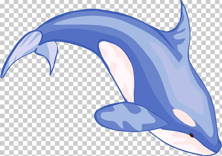 Blue Whale Beluga Whale PNG, Clipart, Animals, Automotive Design, Beluga Whale, Blue, Blue Whale Free PNG Download