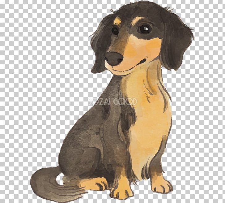 Dachshund Puppy Dog Breed Companion Dog Airedale Terrier PNG, Clipart, Airedale Terrier, Animals, Breed, Carnivoran, Companion Dog Free PNG Download