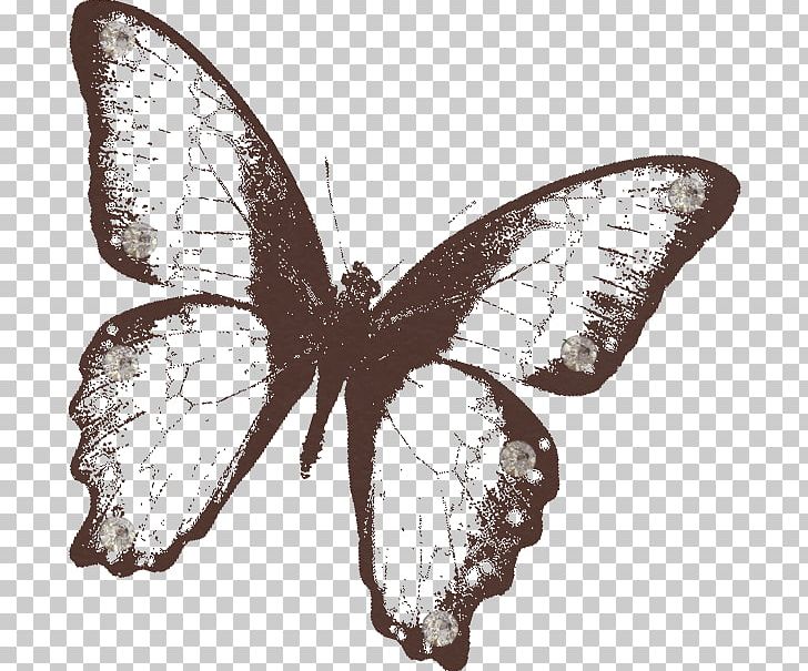 English Text Drawing PNG, Clipart, Black And White, Brush Footed Butterfly, Butterfly, Computer Icons, Drawing Free PNG Download