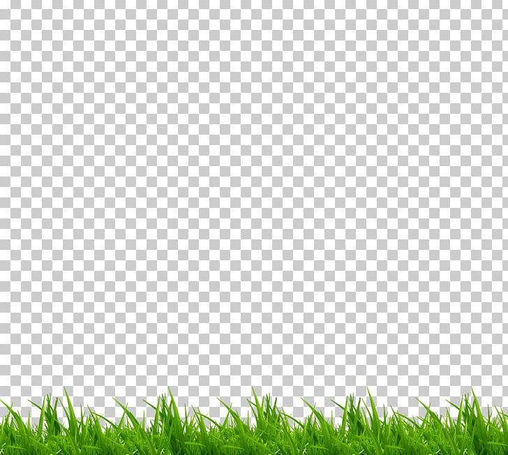 Green Grass PNG, Clipart, Angle, Background, Decorative Patterns, Design, Environmental Protection Free PNG Download