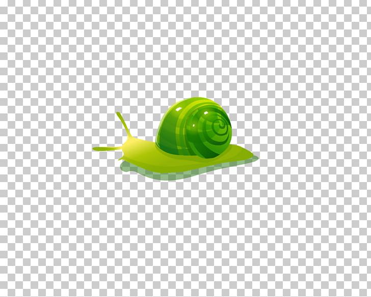 Snail PNG, Clipart, Animals, Balloon Cartoon, Boy Cartoon, Cartoon, Cartoon Alien Free PNG Download