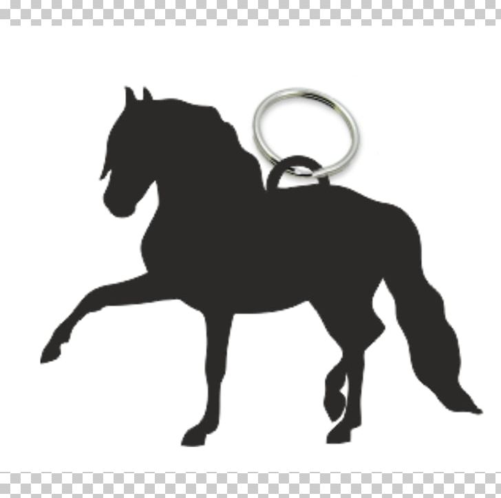 Andalusian Horse Wall Decal Sticker Equestrian PNG, Clipart, Bridle, Bumper Sticker, Decal, Dressage, Equestrian Free PNG Download