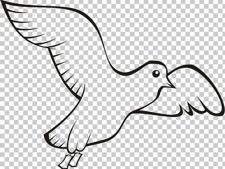 Bird Beak Domestic Pigeon Columbidae PNG, Clipart, Animals, Artwork, Bird, Bird Flight, Bird Outline Free PNG Download