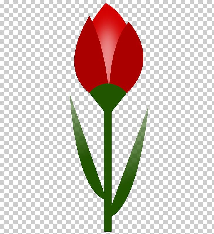 Tulip Flower Red Drawing PNG, Clipart, Art, Blue, Clip, Clip Art, Color Free PNG Download