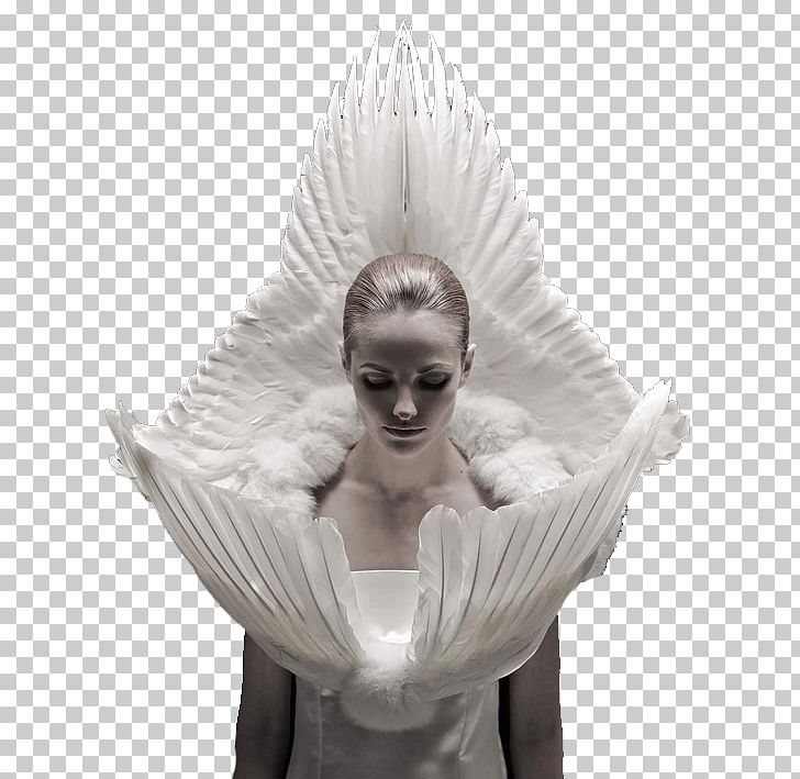 Kate Moss Haute Couture Roadkill Designer Clothing PNG, Clipart, Angel, Angels, Angels Wings, Angel Vector, Angel Wing Free PNG Download