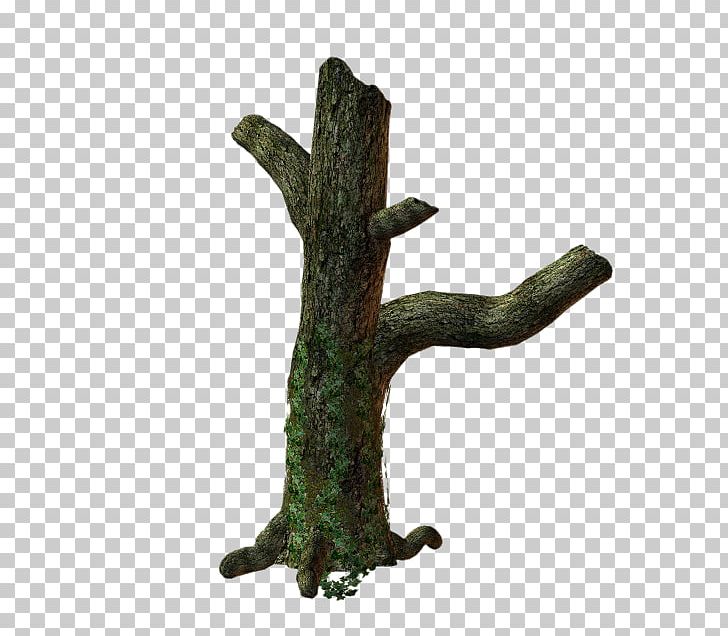 Twig Tree Root Trunk PNG, Clipart, Arecaceae, Branch, Leaf, Nature, Plant Free PNG Download