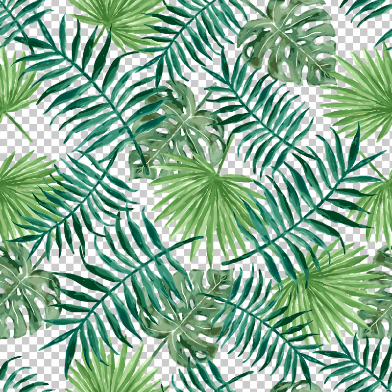 Pine Leaf Evergreen Green Pattern PNG, Clipart, Biology, Evergreen, Flower, Green, Leaf Free PNG Download