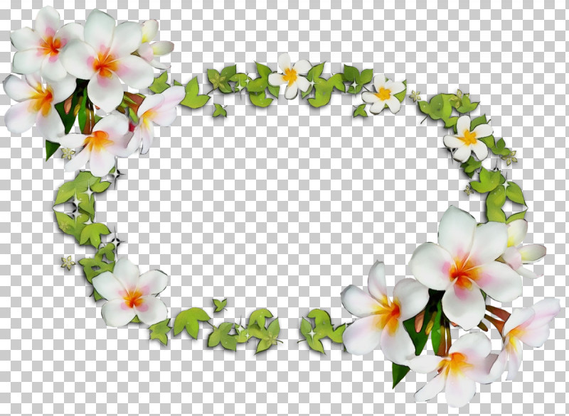 Floral Design PNG, Clipart, Biology, Floral Design, Flower, Paint, Petal Free PNG Download