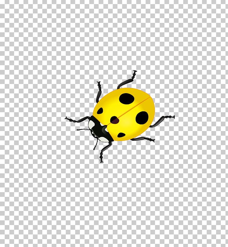 Volkswagen Beetle Ladybird PNG, Clipart, Arthropod, Beetle, Coccinella Septempunctata, Encapsulated Postscript, Euclidean Vector Free PNG Download
