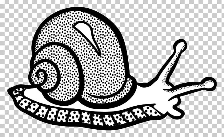 Snail Gastropods Drawing PNG, Clipart, Animals, Area, Art, Artwork, Black And White Free PNG Download