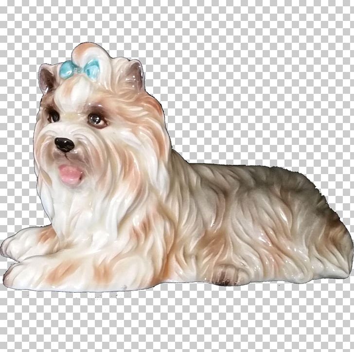 Yorkshire Terrier Maltese Dog West Highland White Terrier Morkie Havanese Dog PNG, Clipart, Animal, Animals, Biewer Terrier, Carnivoran, Companion Dog Free PNG Download