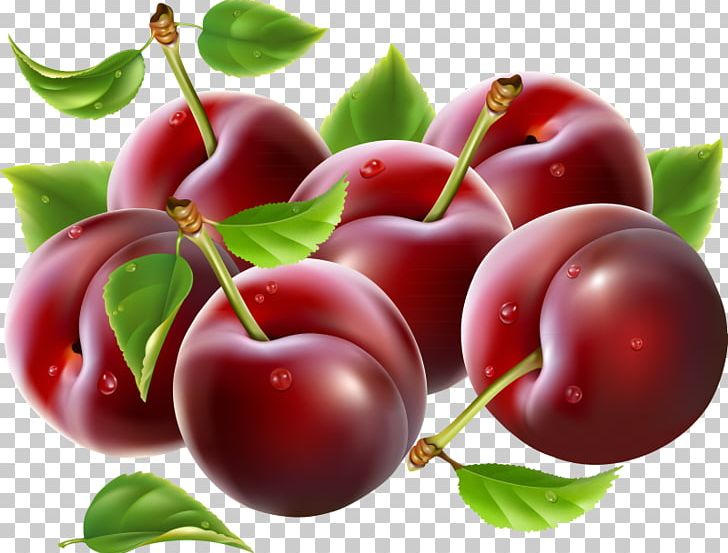 Prune PNG, Clipart, Acerola, Acerola Family, Apple, Berry, Cherry Free PNG Download