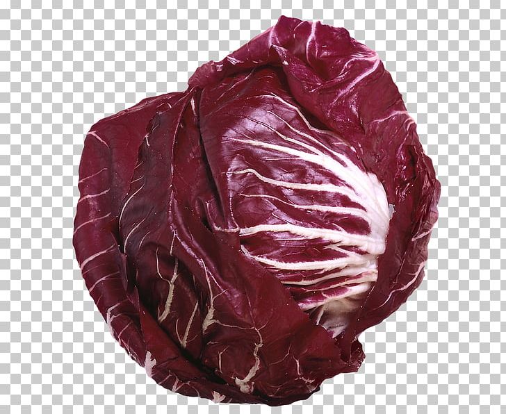 Red Cabbage Lettuce Vegetable Kale PNG, Clipart, Brassica Oleracea, Cabbage, Chicory, Collard Greens, Food Free PNG Download