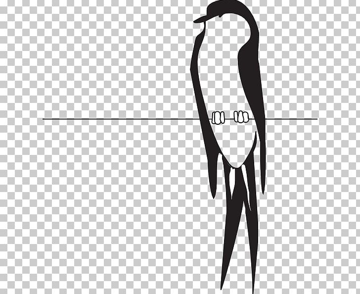 Bird Graphics PNG, Clipart, Angle, Arm, Art, Beak, Bird Free PNG Download