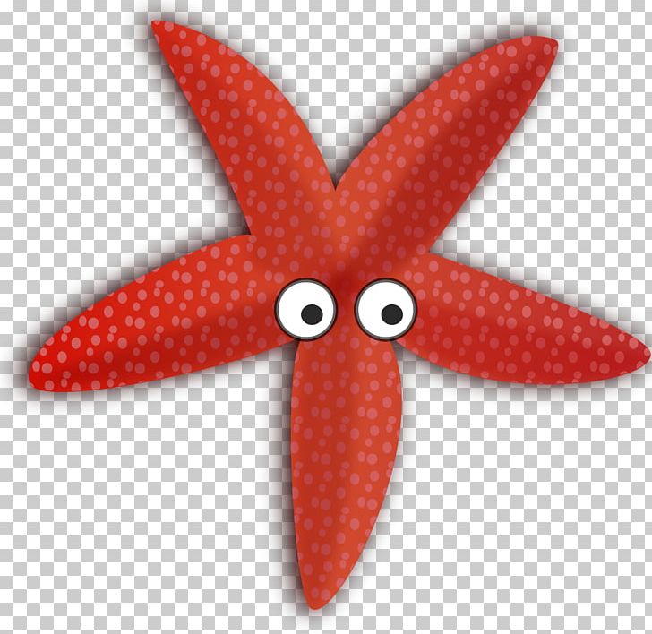 Starfish Cartoon PNG, Clipart, Animals, Cartoon, Computer Icons, Download, Drawing Free PNG Download