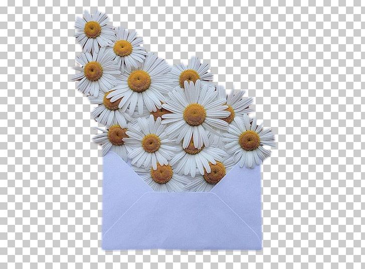 Wedding Invitation Flower Bouquet Envelope Paper PNG, Clipart, Chrysanths, Common Daisy, Creativity, Cut Flowers, Daisy Free PNG Download
