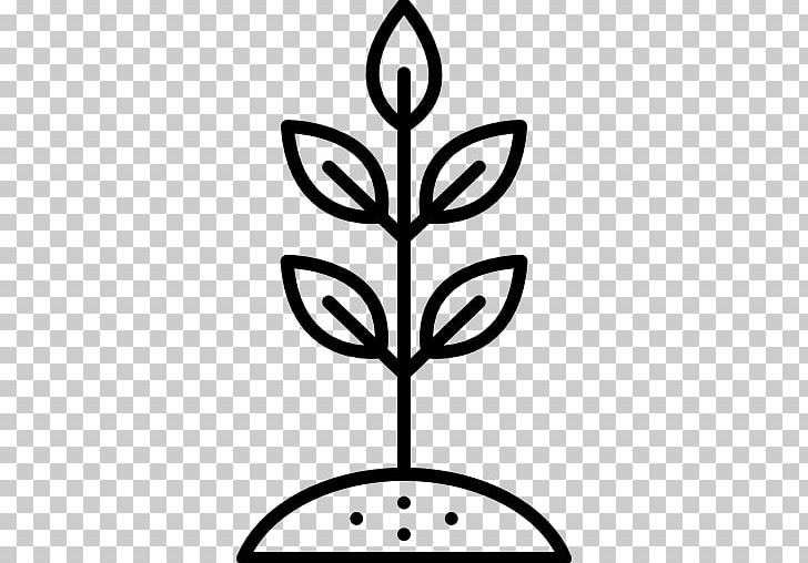 Computer Icons Seed PNG, Clipart, Artwork, Black And White, Company, Compost, Computer Icons Free PNG Download