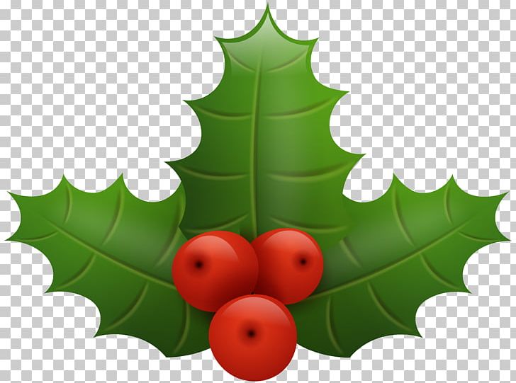 Common Holly Santa Claus Christmas PNG, Clipart, Aquifoliaceae, Aquifoliales, Blog, Christmas, Christmas Clipart Free PNG Download