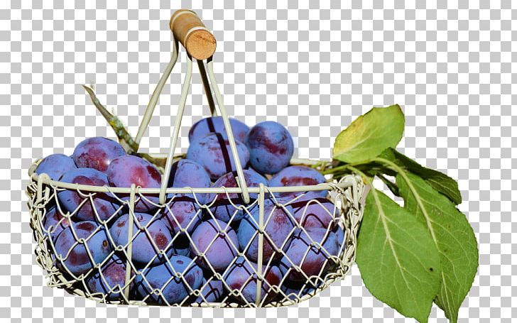 Common Plum Food Prune Fruit PNG, Clipart, Auglis, Common Plum, Compote, Eating, Food Free PNG Download