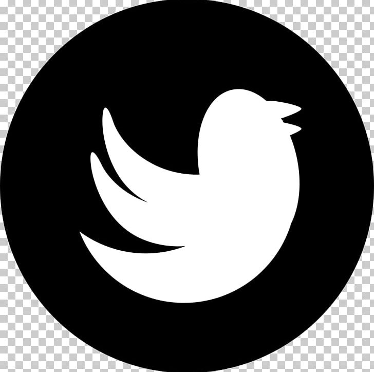 Computer Icons Logo PNG, Clipart, Beak, Bird, Black And White, Blog, Circle Free PNG Download