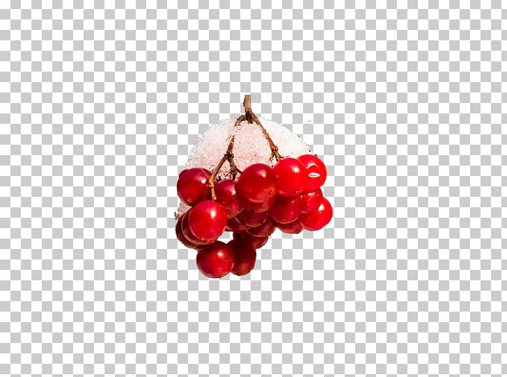 Cranberry Cherry Body Piercing Jewellery Auglis PNG, Clipart, Auglis, Berries, Berry, Body Jewelry, Body Piercing Jewellery Free PNG Download