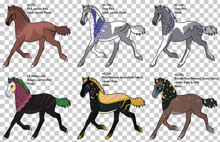 Foal Stallion Mustang Colt Mare PNG, Clipart, Animal, Animal Figure, Bridle, Colt, Fauna Free PNG Download