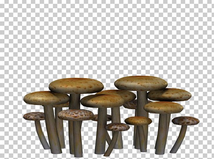 Mushroom Fungus PNG, Clipart, Download, Edible Mushroom, Fungus, Furniture, Image File Formats Free PNG Download