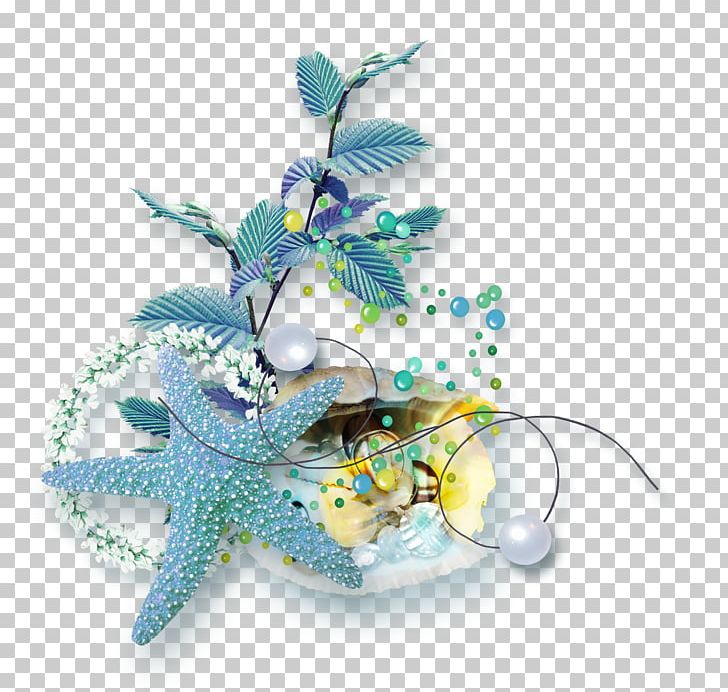 Sea Starfish Jellyfish PNG, Clipart, Animals, Jellyfish, Nature, Organism, Peacock Free PNG Download