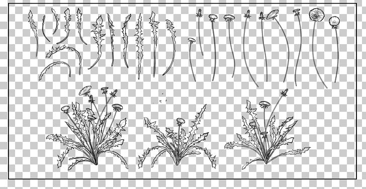 Drawing Line Art Photography PNG, Clipart, Art, Black, Black And White, Branch, Brush Free PNG Download