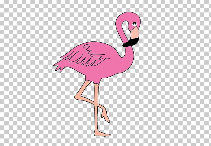 Flamingo Stock Photography Free PNG, Clipart, Animals, Beak, Bird, Cartoon, Clip Art Free PNG Download