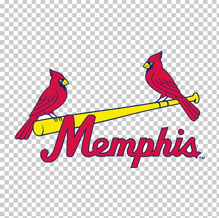 1998 St. Louis Cardinals Season Memphis Redbirds Busch Stadium 2011 Major League Baseball Season PNG, Clipart, 1998 St Louis Cardinals Season, Art, Baseball, Beak, Bird Free PNG Download