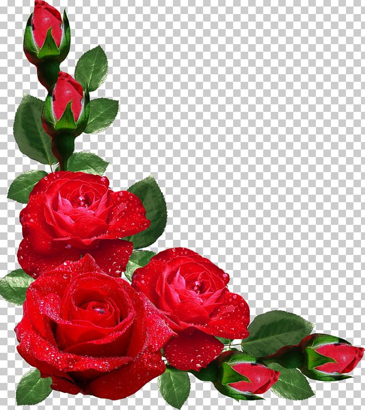 Flower Rose Frames Japanese Border Designs PNG, Clipart, Android, Artificial Flower, Desktop Wallpaper, Floral Design, Floribunda Free PNG Download