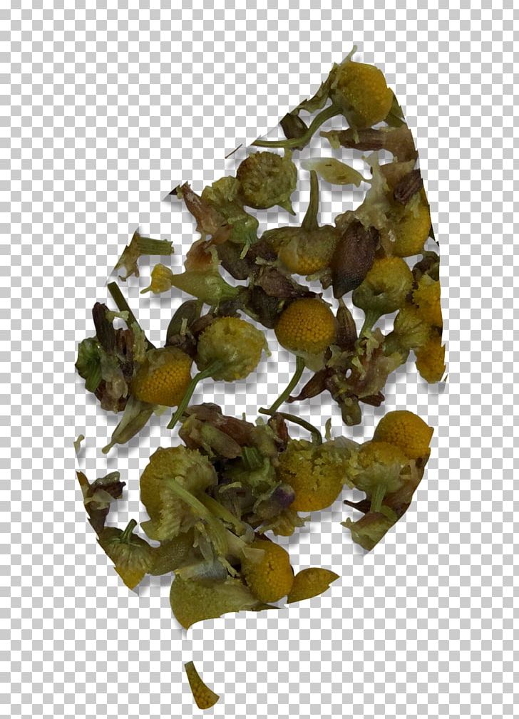 Tieguanyin Oolong PNG, Clipart, Chamomile, Miscellaneous, Nature, Oolong, Others Free PNG Download
