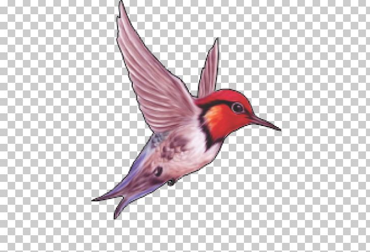 Bird PNG, Clipart, Animation, Beak, Bird, Bird Fly, Computer Network Free PNG Download