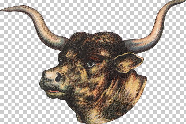 Cattle PhotoScape PNG, Clipart, Bull, Cattle, Cattle Like Mammal, Channel, Cow Goat Family Free PNG Download