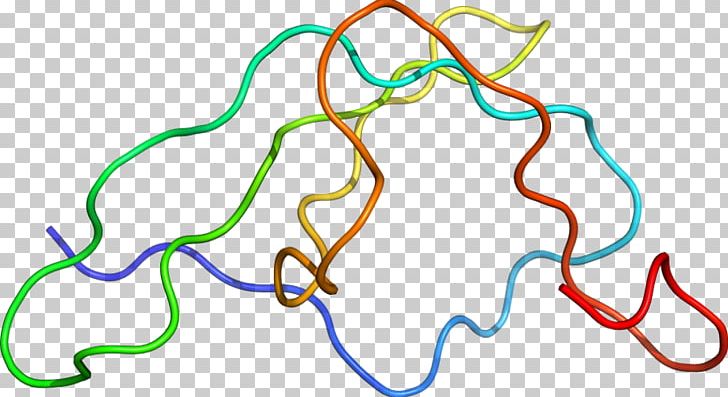 Line Point Organism PNG, Clipart, Area, Art, Line, Organism, Point Free PNG Download
