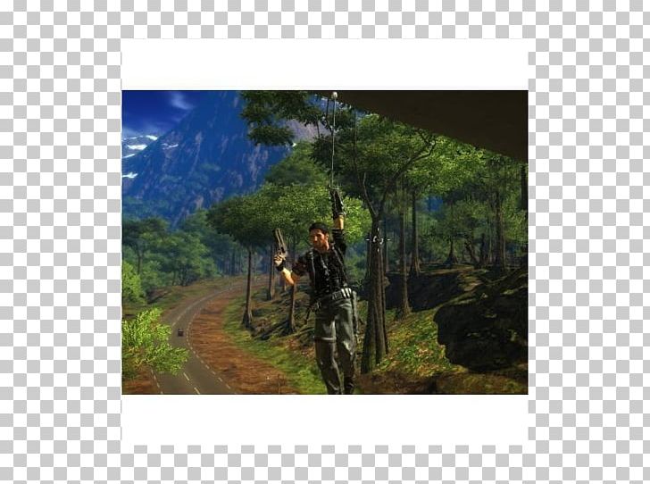 Cycling Bicycle Mountain Bike Mountain Biking Freeride PNG, Clipart, Adventure, Bicycle, Cycling, Ecosystem, Forest Free PNG Download