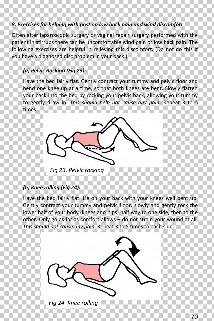 Pelvic Floor Pelvis Pelvic Pain Physical Therapy PNG, Clipart, Angle, Area, Arm, Coccydynia, Coccyx Free PNG Download