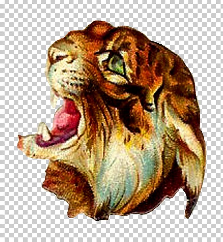 Tiger Lion Felidae Cheetah Hyena PNG, Clipart, Animal, Animals, Big Cat, Big Cats, Carnivora Free PNG Download