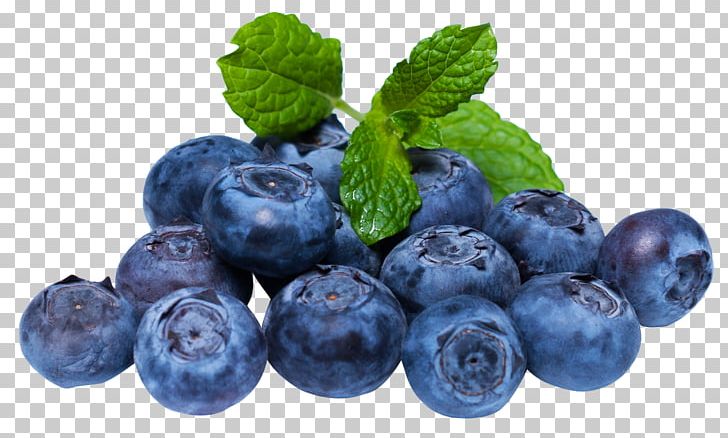 Blueberry Cheesecake Fruit Food PNG, Clipart, Berry, Bilberry, Blueberry, Blueberry Tea, Cheesecake Free PNG Download