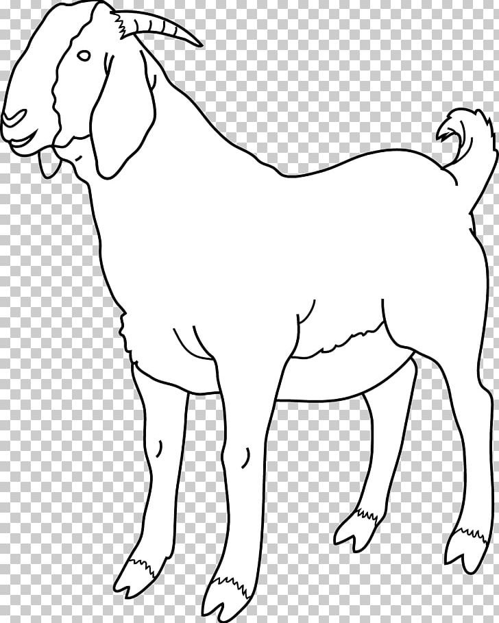 Boer Goat Black Bengal Goat Sheep PNG, Clipart, Area, Black And White, Carnivoran, Cartoon, Cattle Like Mammal Free PNG Download
