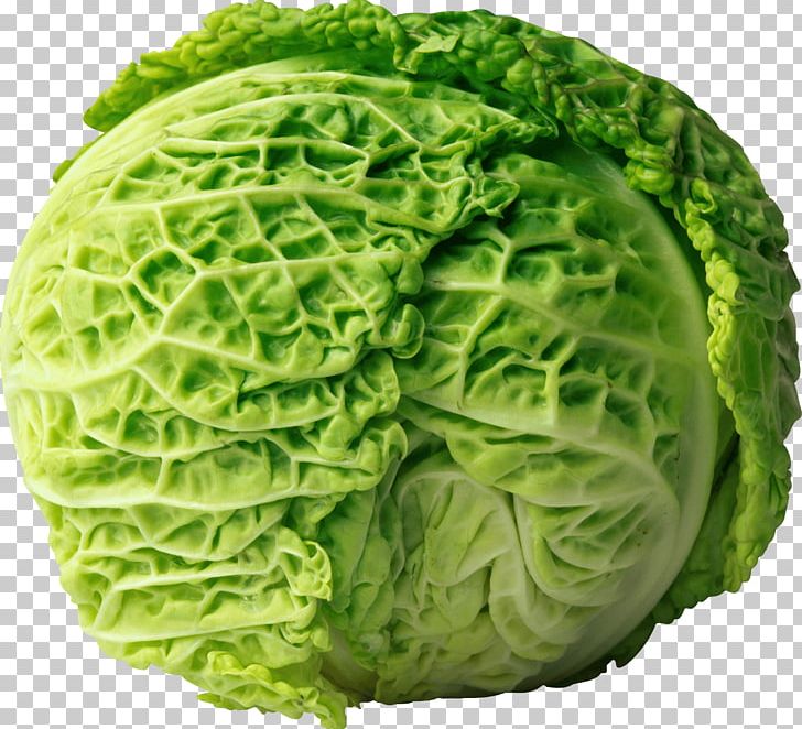 Cabbage Roll Coleslaw Red Cabbage PNG, Clipart, Brassica Oleracea, Brussels Sprout, Cabbage, Carbs, Cauliflower Free PNG Download